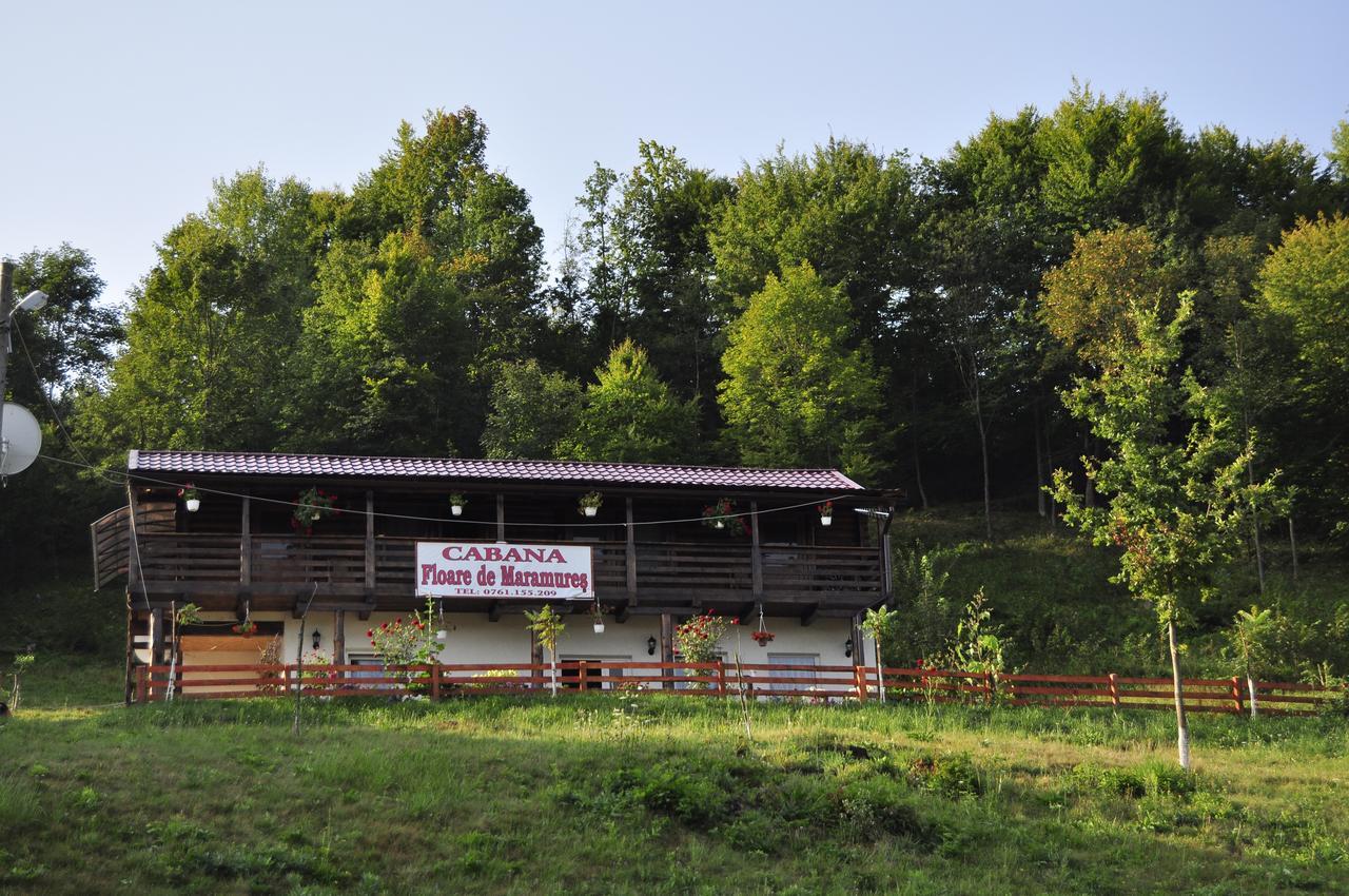 Floare De Maramures 2 Sighetu Marmatiei Exterior photo